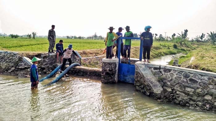 Dampak Kemarau, Ditjen PSP Kementan Kerahkan Tim Mitigasi Kekeringan